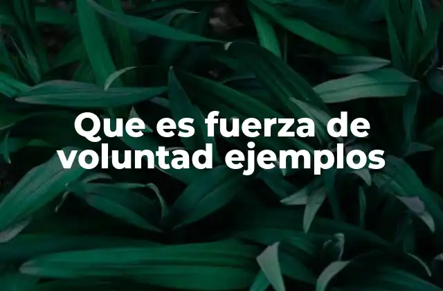 Que es Fuerza de Voluntad Ejemplos