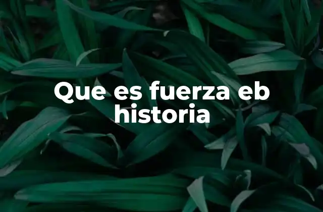 Que es Fuerza Eb Historia