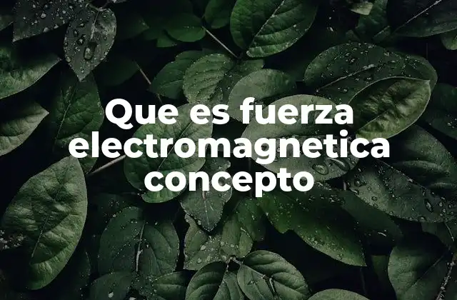 Que es Fuerza Electromagnetica Concepto