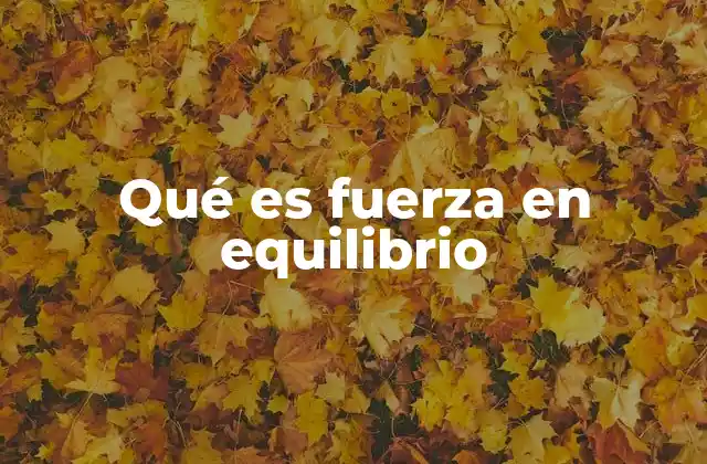 Qué es Fuerza en Equilibrio
