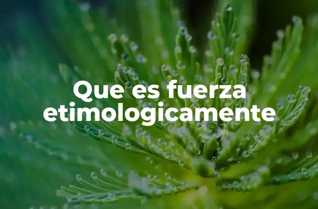 Que es Fuerza Etimologicamente