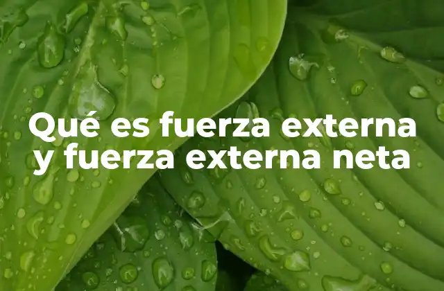 Qué es Fuerza Externa y Fuerza Externa Neta