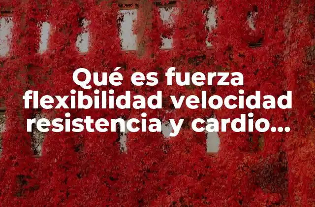 Qué es Fuerza Flexibilidad Velocidad Resistencia y Cardio Respiración