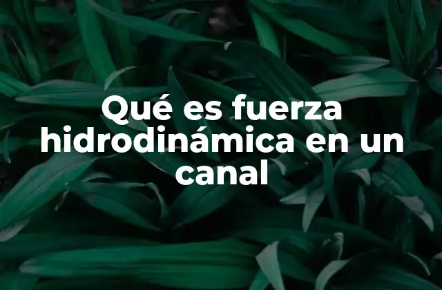 Qué es Fuerza Hidrodinámica en un Canal