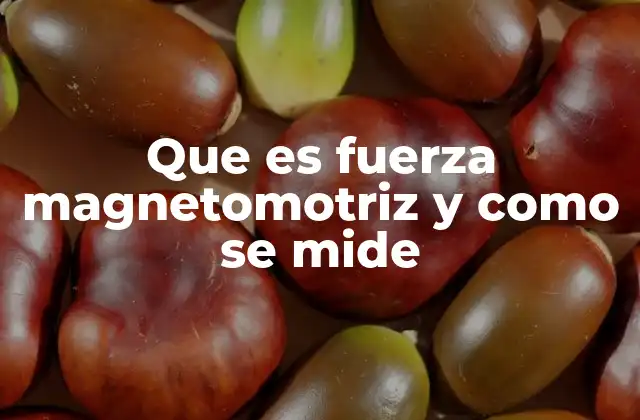 Que es Fuerza Magnetomotriz y como Se Mide