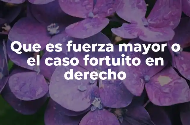Que es Fuerza Mayor o el Caso Fortuito en Derecho