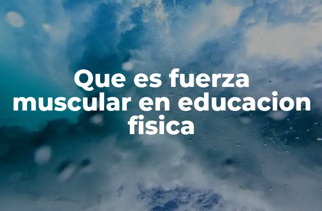 Que es Fuerza Muscular en Educacion Fisica