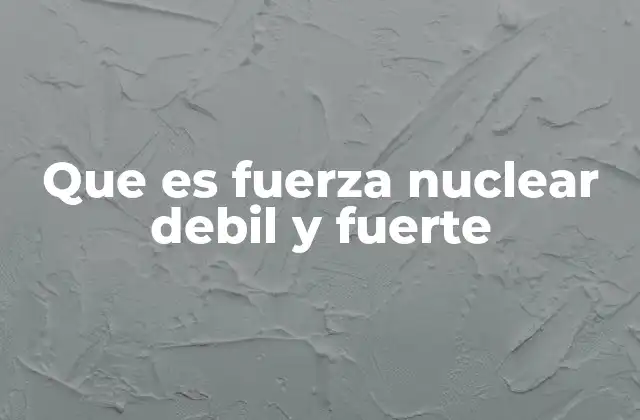 Que es Fuerza Nuclear Debil y Fuerte