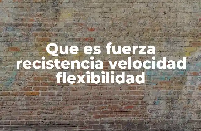 Que es Fuerza Recistencia Velocidad Flexibilidad
