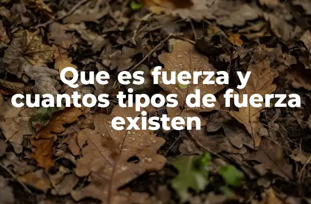 Que es Fuerza y Cuantos Tipos de Fuerza Existen