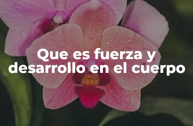 Que es Fuerza y Desarrollo en el Cuerpo