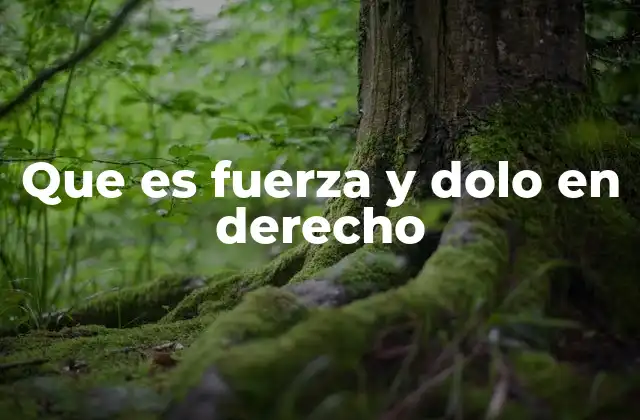 Que es Fuerza y Dolo en Derecho