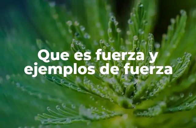 Que es Fuerza y Ejemplos de Fuerza