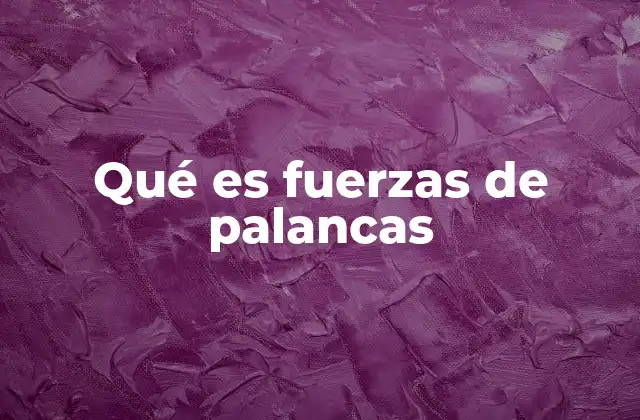Qué es Fuerzas de Palancas