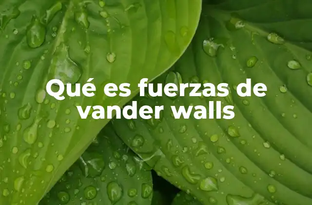 Qué es Fuerzas de Vander Walls