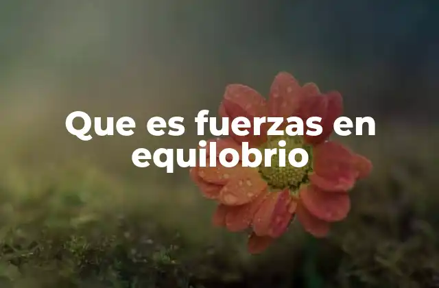 Que es Fuerzas en Equilobrio
