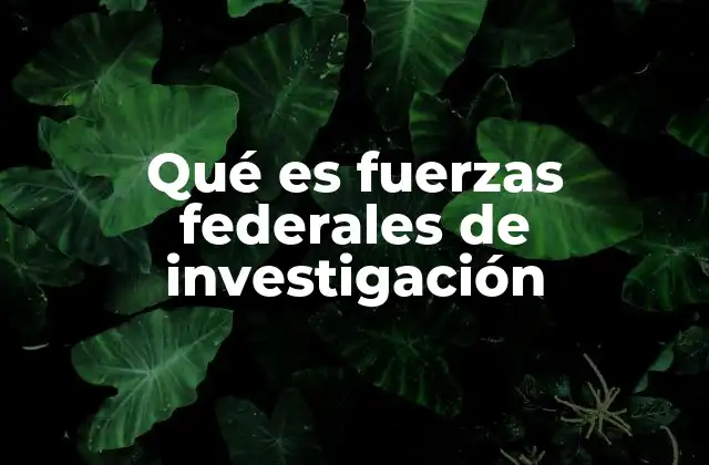 Qué es Fuerzas Federales de Investigación