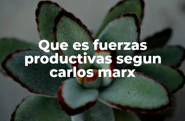 Que es Fuerzas Productivas Segun Carlos Marx