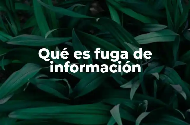 Cómo se produce una fuga de información