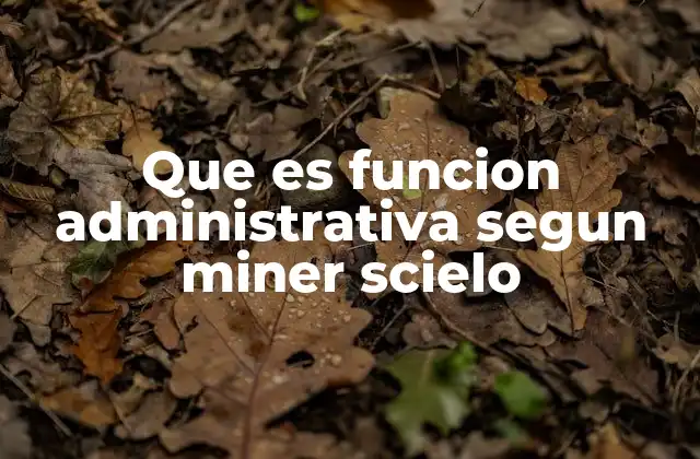 Que es Funcion Administrativa Segun Miner Scielo