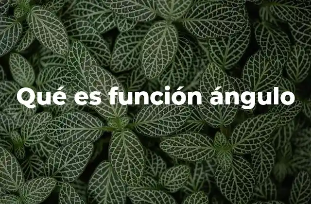 Qué es Función Ángulo