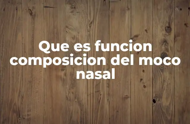 Que es Funcion Composicion Del Moco Nasal