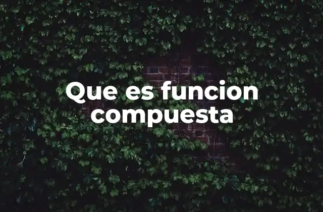 Que es Funcion Compuesta