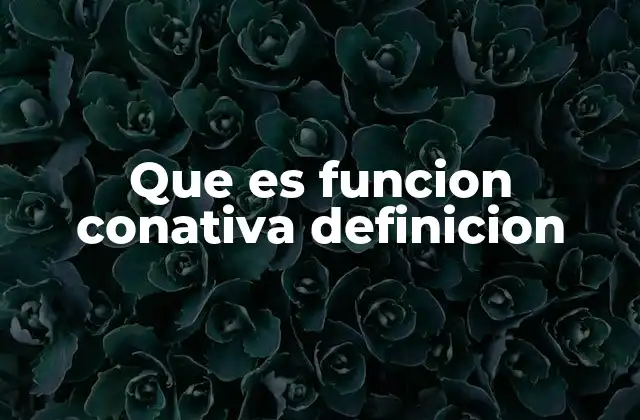 Que es Funcion Conativa Definicion