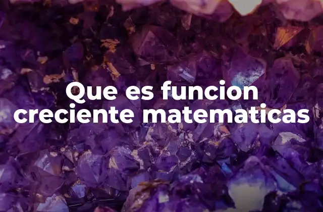 Que es Funcion Creciente Matematicas