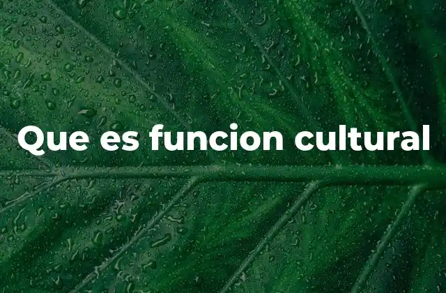 Que es Funcion Cultural