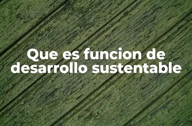 Que es Funcion de Desarrollo Sustentable