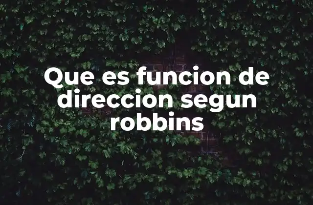 Que es Funcion de Direccion Segun Robbins
