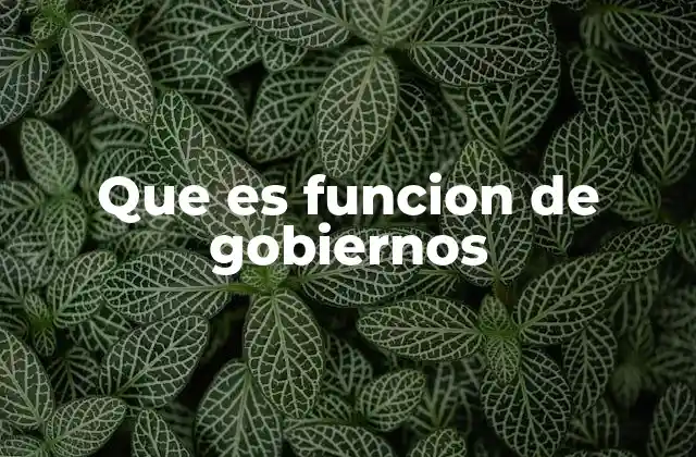 El rol del gobierno en la sociedad moderna