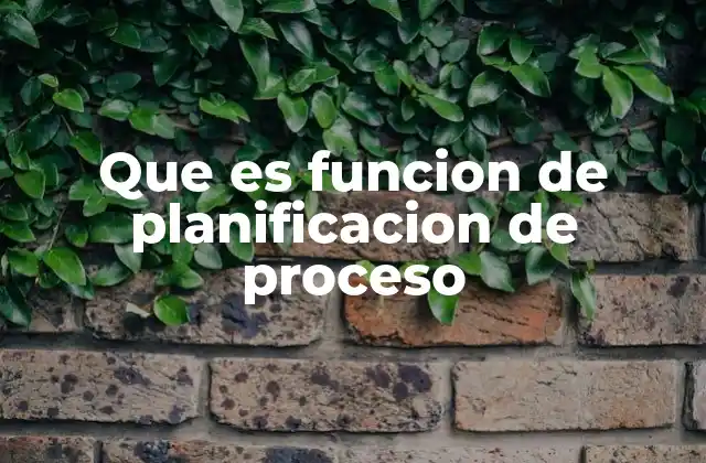 Que es Funcion de Planificacion de Proceso
