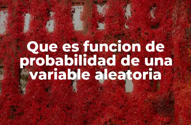 Que es Funcion de Probabilidad de una Variable Aleatoria