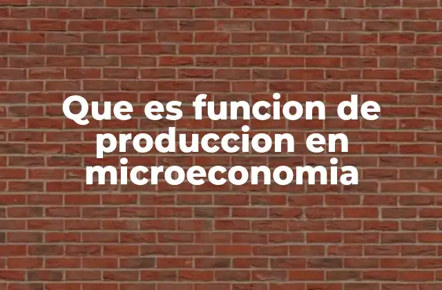 Que es Funcion de Produccion en Microeconomia