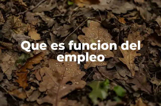 Que es Funcion Del Empleo