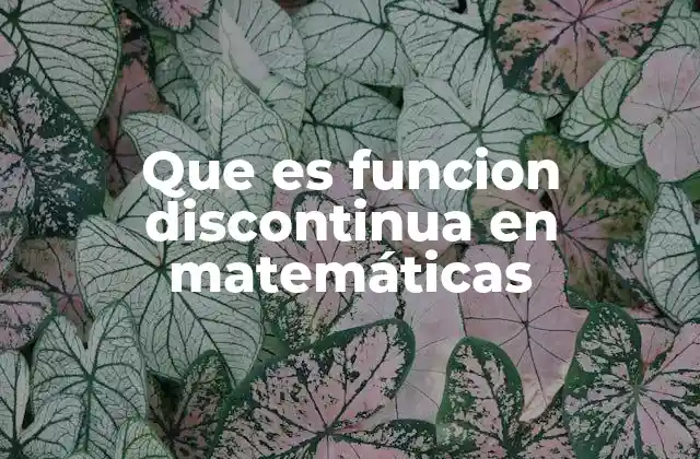 Que es Funcion Discontinua en Matemáticas
