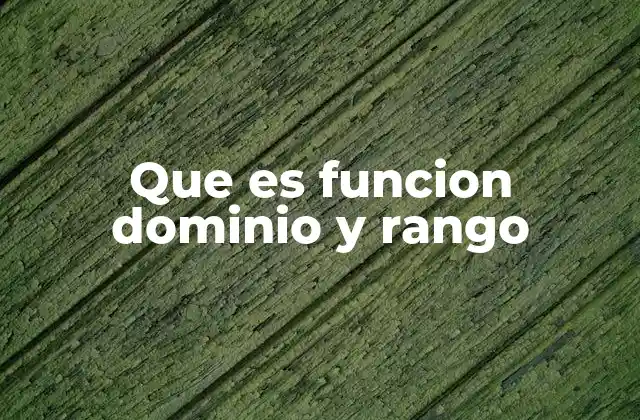 Que es Funcion Dominio y Rango