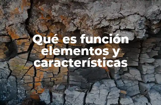 Qué es Función Elementos y Características