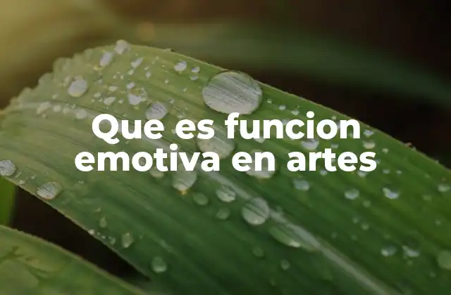 Que es Funcion Emotiva en Artes