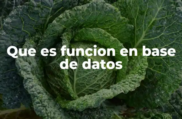 Que es Funcion en Base de Datos