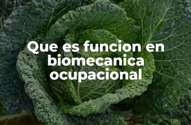 El rol de la biomecánica en el análisis de tareas laborales