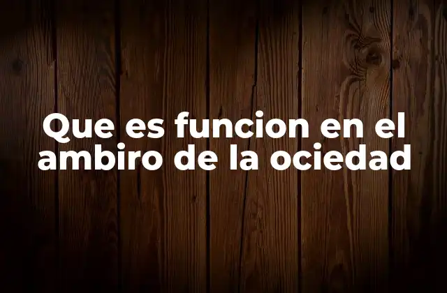 Que es Funcion en el Ambiro de la Ociedad