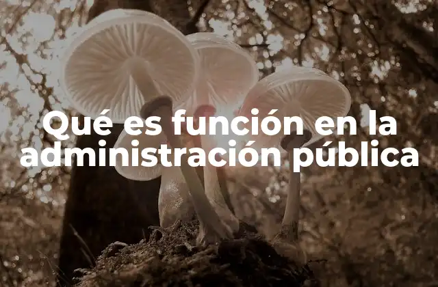 Qué es Función en la Administración Pública
