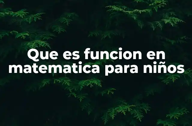 Que es Funcion en Matematica para Niños