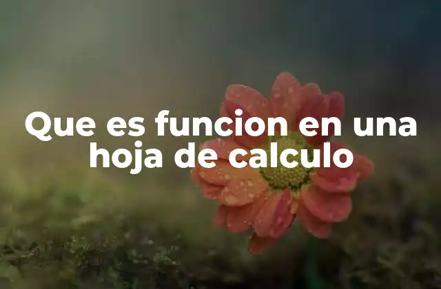 Que es Funcion en una Hoja de Calculo