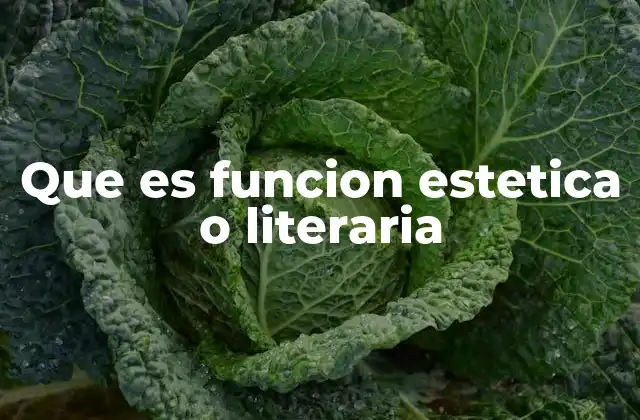 Que es Funcion Estetica o Literaria