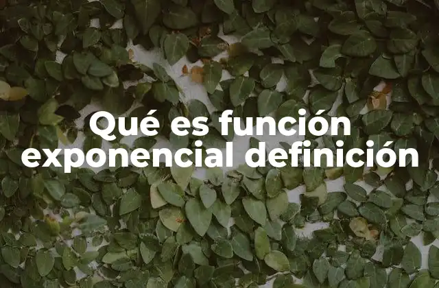 Qué es Función Exponencial Definición