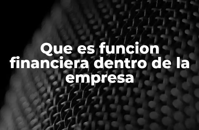 Que es Funcion Financiera Dentro de la Empresa